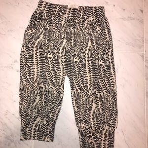 Pocket sport pant //fern frond // beechwood modal // 18-24 months